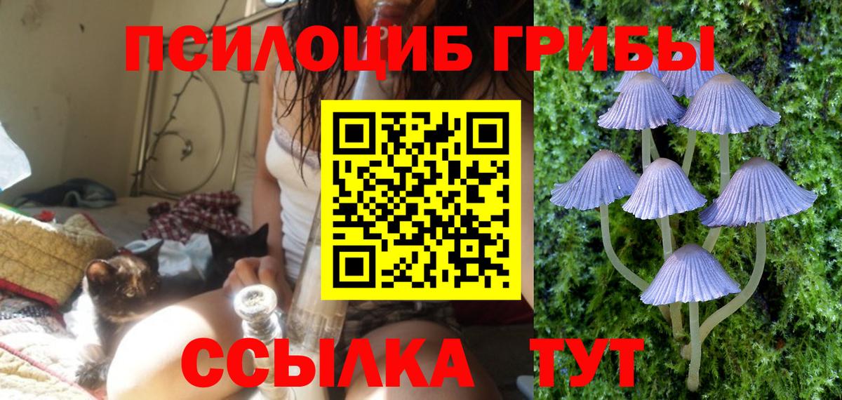 Галлюциногенные грибы Magic Shrooms  Вход с VPN  Кисловодск  Псилоцибиновые грибы Magic Shrooms 