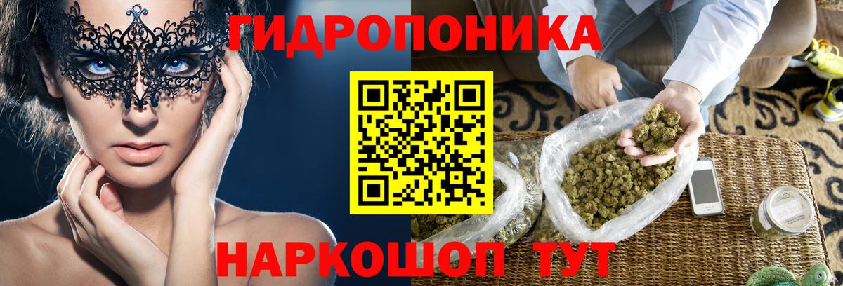 Бошки Шишки план Кисловодск